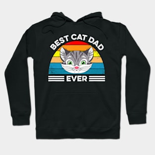 Best Cat Dad Ever Kitty Calico Cat Fathers Day Hoodie